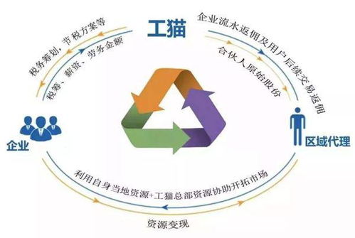 金三税个人所得税软件设置中网络申报变成介质申报怎么办